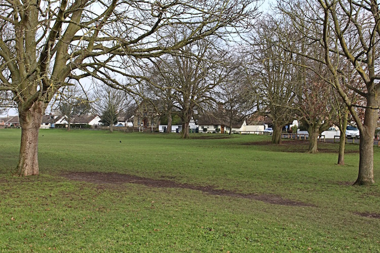 Brampton village Green with grass and trees