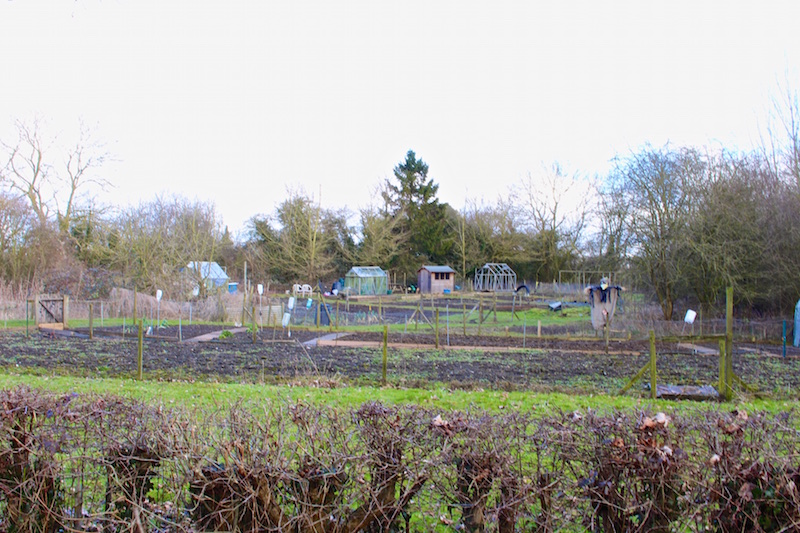 Village allotments