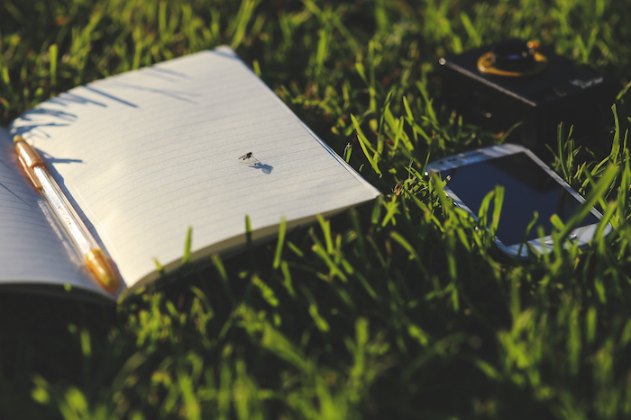 Notepad and pen on grass