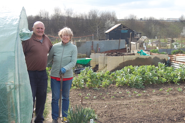 Godmanchester residents at their allotments