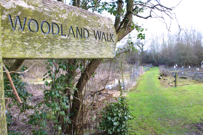Sign pointing to path for a 'Woodland Walk'