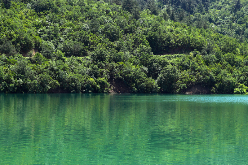 pexels-beyza-efe-8044850 mangrove resize